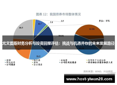 尤文图斯财务分析与投资回报评估：挑战与机遇并存的未来发展路径