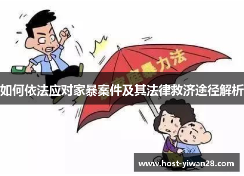 如何依法应对家暴案件及其法律救济途径解析