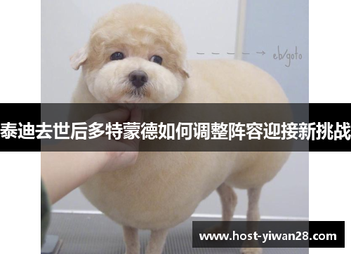 泰迪去世后多特蒙德如何调整阵容迎接新挑战