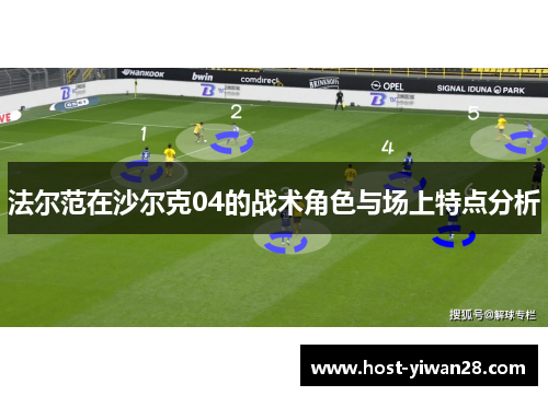 法尔范在沙尔克04的战术角色与场上特点分析